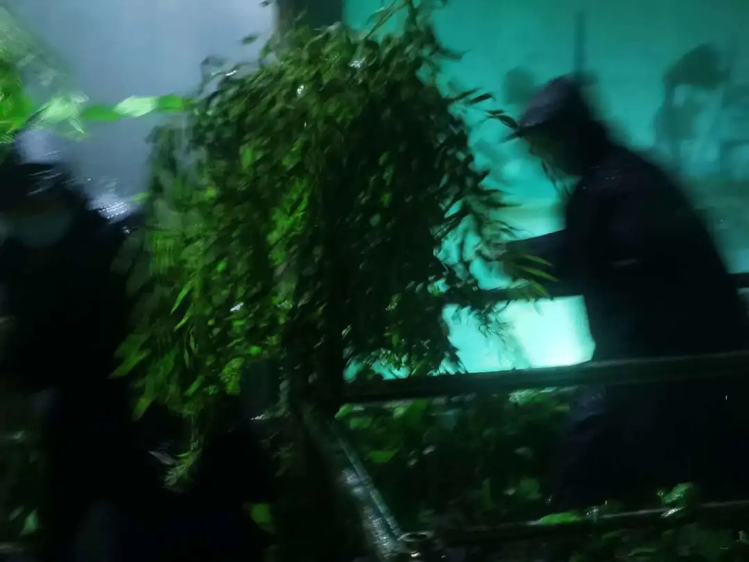 暴風(fēng)雨體驗(yàn)館