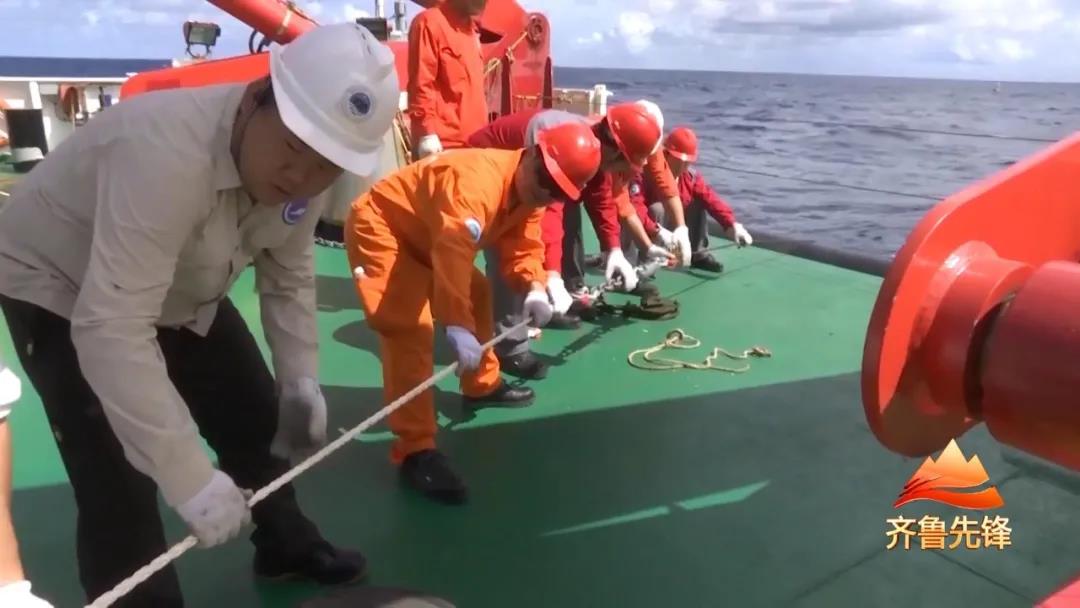 海麗雅集團(tuán)