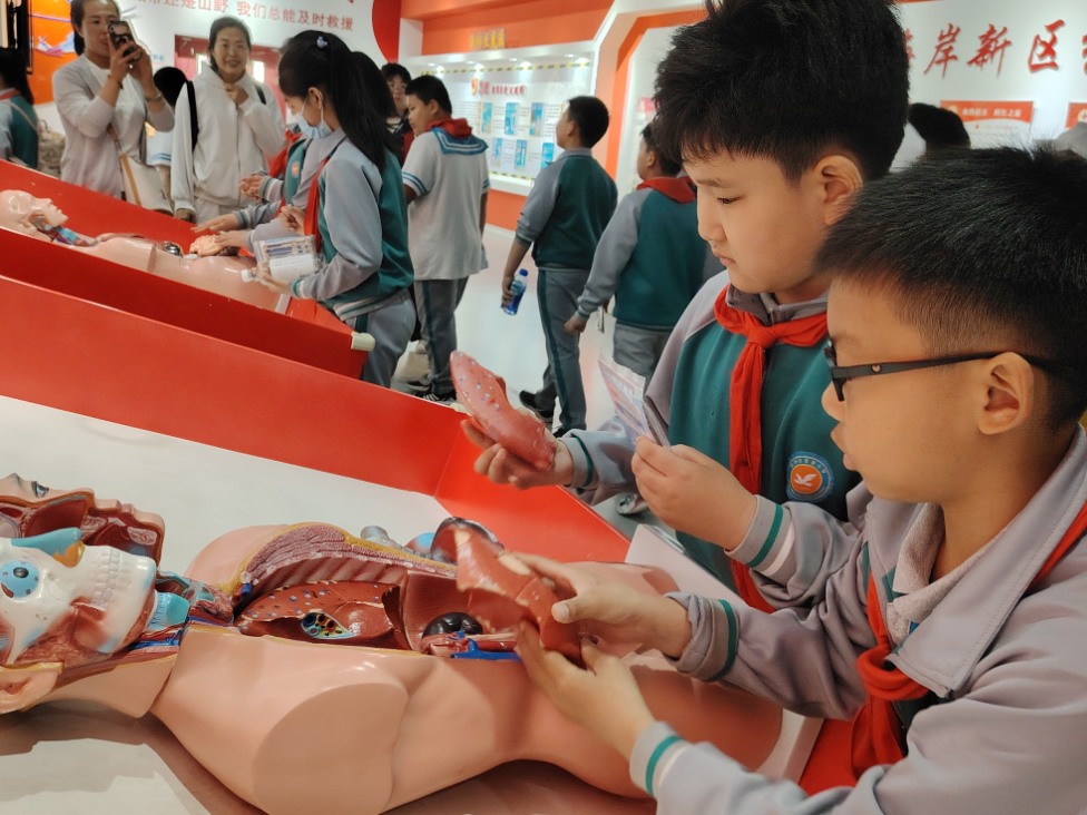 紅十字應(yīng)急救護(hù)培訓(xùn)基地體驗(yàn)館